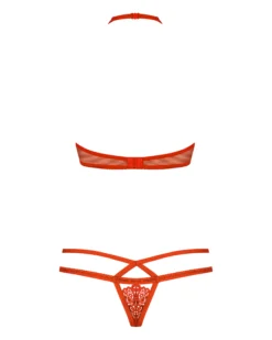 Biustonosz i stringi